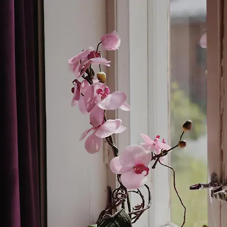 Marja Lejlighedshotel Mikkeli