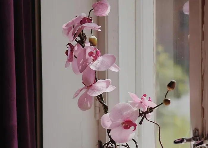 Marja Apart Otel Mikkeli